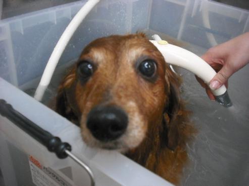 ファイル 2086-2.jpg