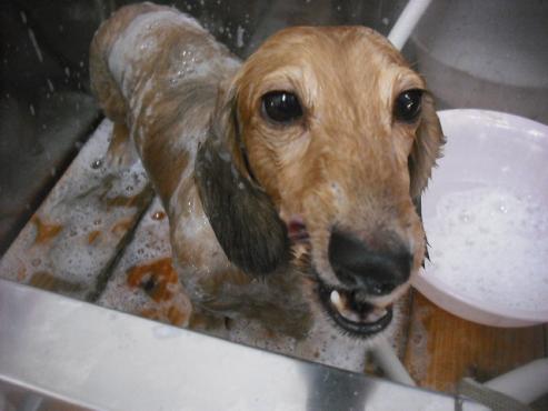 ファイル 2087-2.jpg