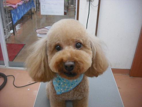 ファイル 2089-1.jpg