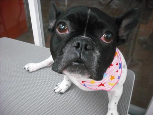 ファイル 209-1.jpg