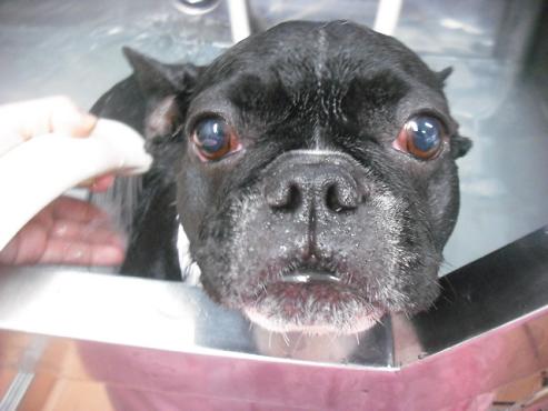 ファイル 209-2.jpg