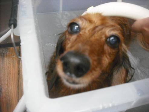 ファイル 2091-2.jpg