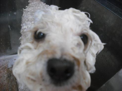 ファイル 2092-2.jpg