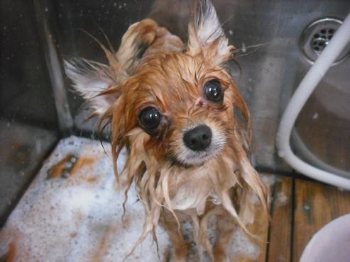 ファイル 2094-2.jpg