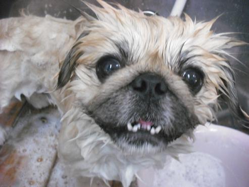 ファイル 2095-2.jpg