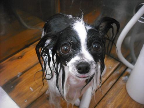 ファイル 2097-2.jpg