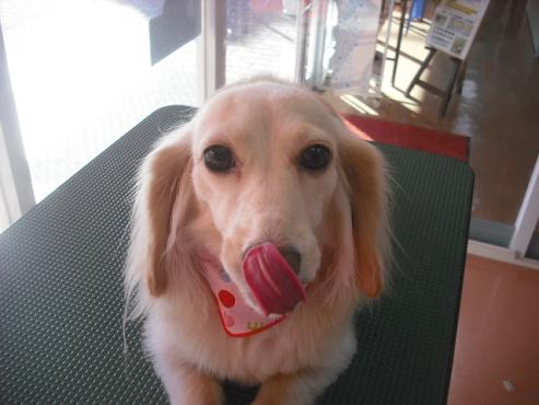 ファイル 2098-1.jpg