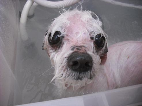 ファイル 21-2.jpg