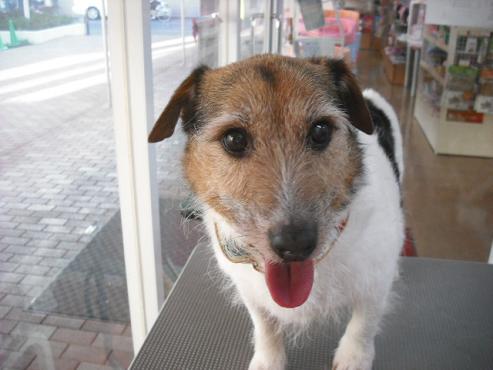 ファイル 210-1.jpg