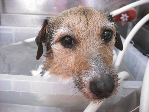 ファイル 210-2.jpg