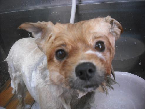 ファイル 2102-2.jpg