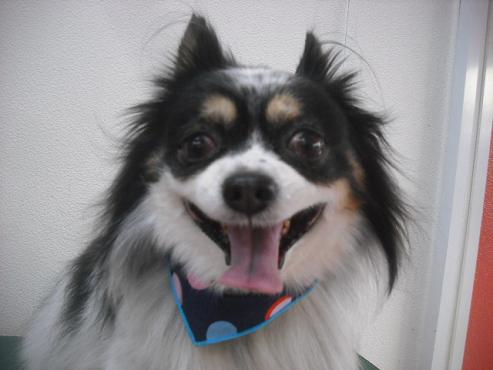 ファイル 2103-1.jpg