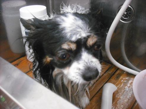 ファイル 2103-2.jpg