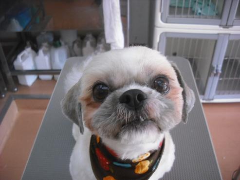 ファイル 2104-1.jpg