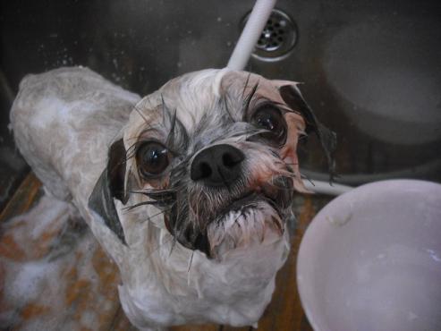 ファイル 2104-2.jpg