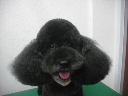 ファイル 2105-1.jpg