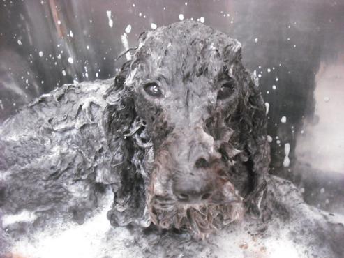 ファイル 2105-2.jpg