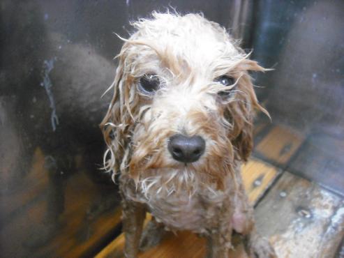 ファイル 2107-2.jpg