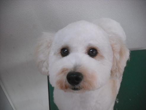 ファイル 2108-1.jpg