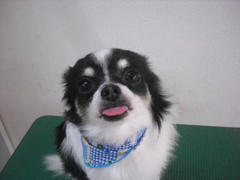 ファイル 2109-1.jpg