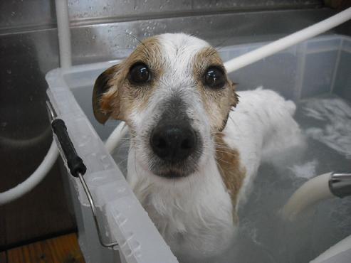 ファイル 211-2.jpg