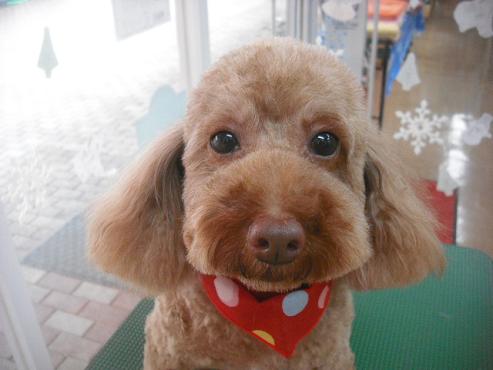 ファイル 2111-1.jpg