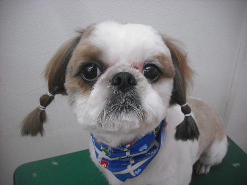 ファイル 2112-1.jpg