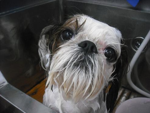 ファイル 2112-2.jpg