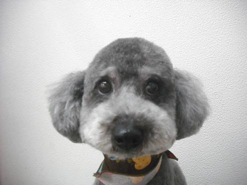 ファイル 2113-1.jpg