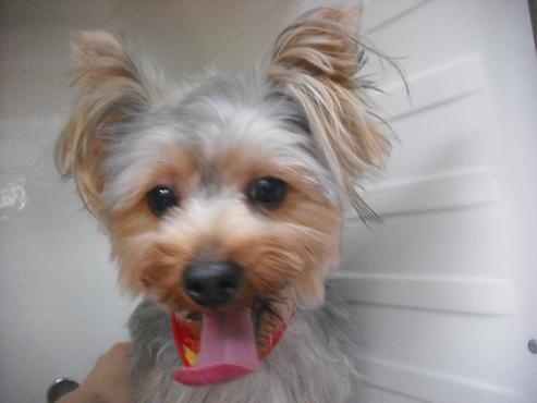 ファイル 2117-1.jpg