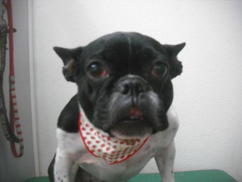 ファイル 2118-1.jpg