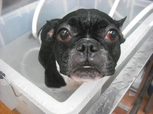 ファイル 2118-2.jpg