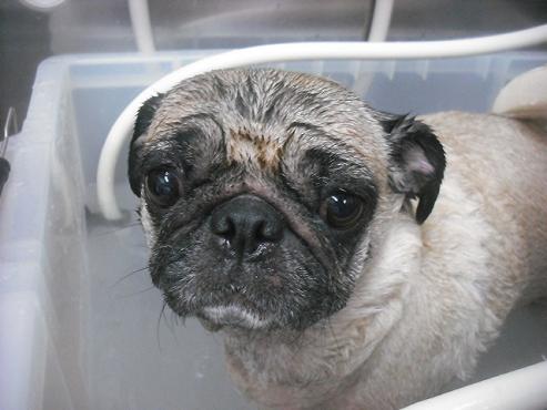 ファイル 2119-3.jpg