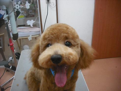 ファイル 2121-1.jpg