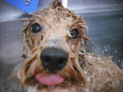 ファイル 2121-2.jpg