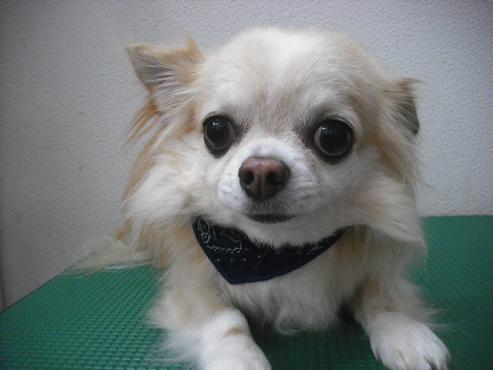 ファイル 2122-1.jpg