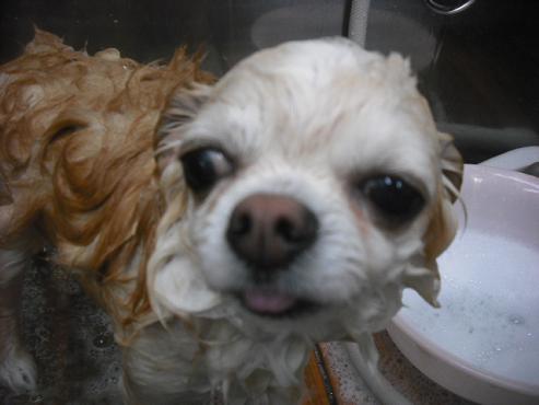 ファイル 2122-2.jpg