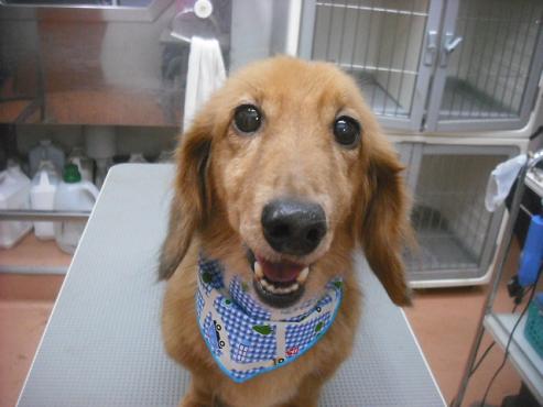 ファイル 2123-1.jpg