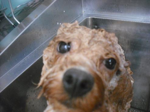 ファイル 2124-3.jpg