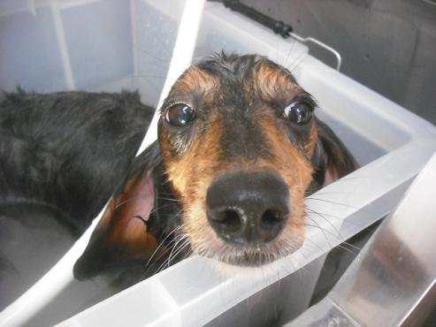 ファイル 2125-3.jpg