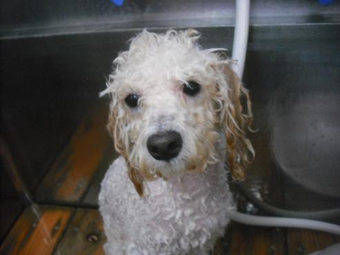 ファイル 2126-3.jpg