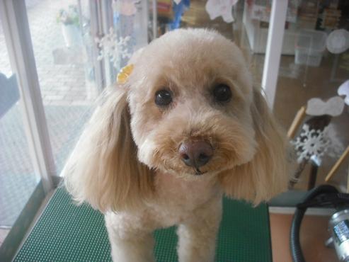 ファイル 2127-1.jpg