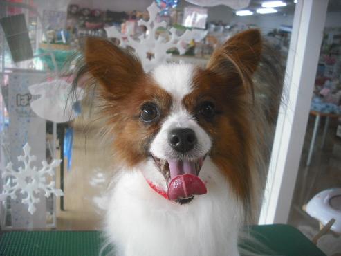 ファイル 2128-1.jpg