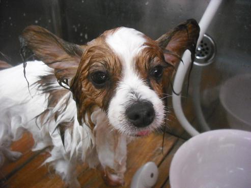 ファイル 2128-3.jpg