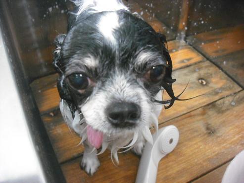 ファイル 2130-2.jpg