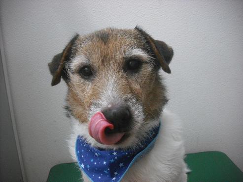 ファイル 2131-1.jpg