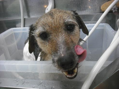 ファイル 2131-2.jpg