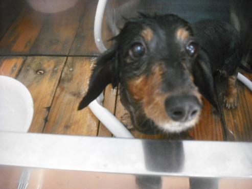 ファイル 2133-2.jpg