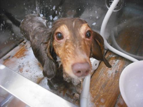 ファイル 2134-2.jpg