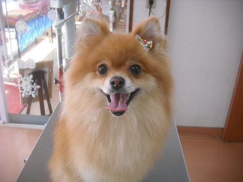 ファイル 2135-1.jpg